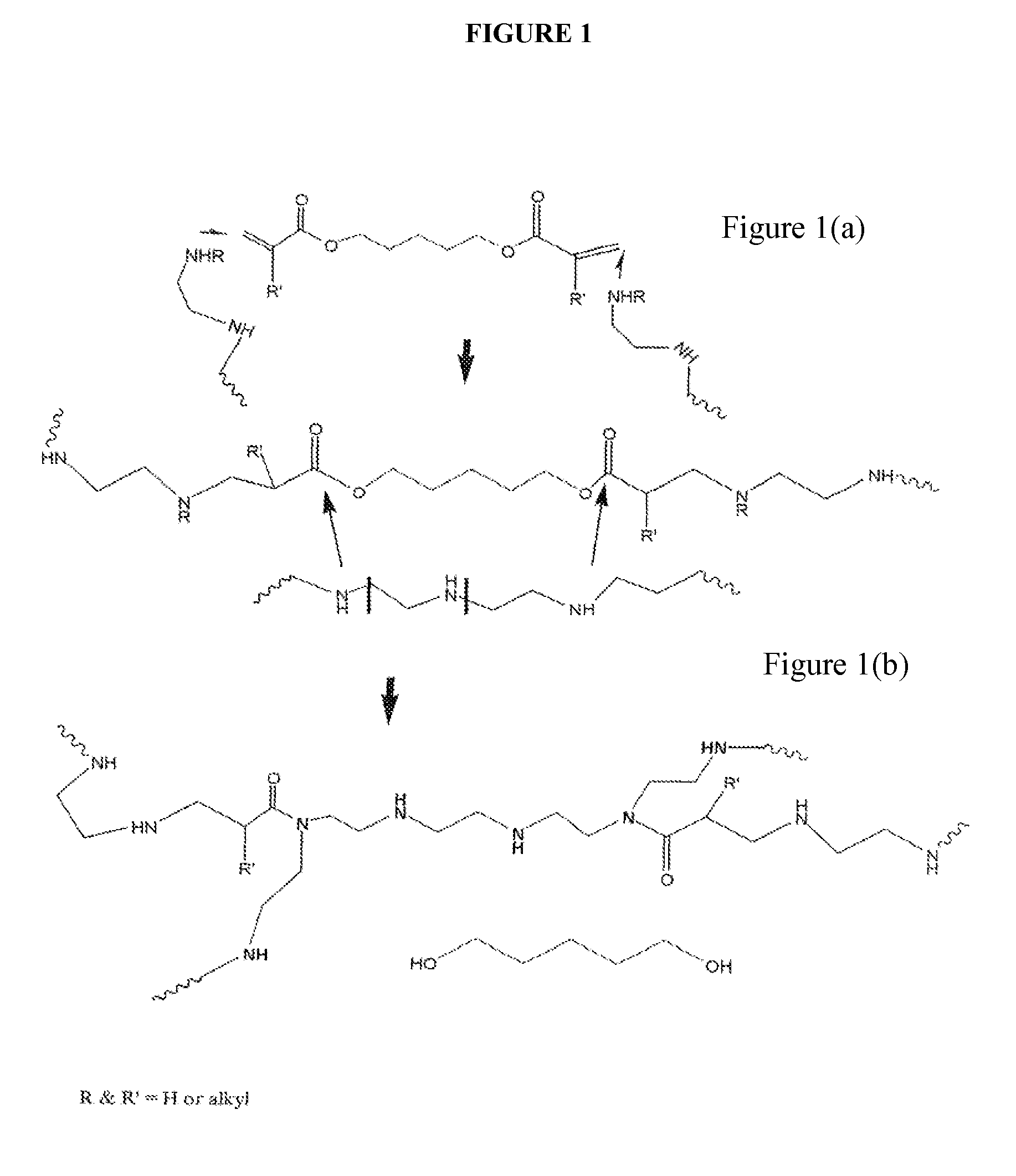 CHEMICALLY MODIFIED POLYCATION POLYMER FOR siRNA DELIVERY
