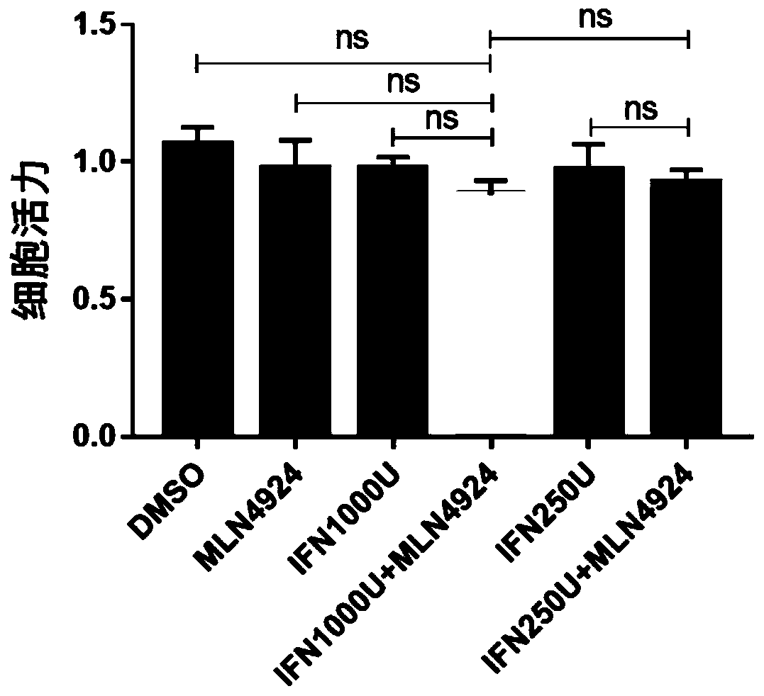 Application of small molecular compound MLN4924 in resisting to HBV by combining with IFN[alpha]