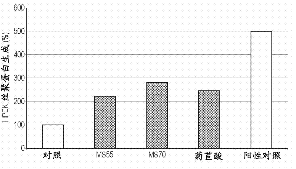 Use of chicoric acid and derivatives for regulating skin pigmentation