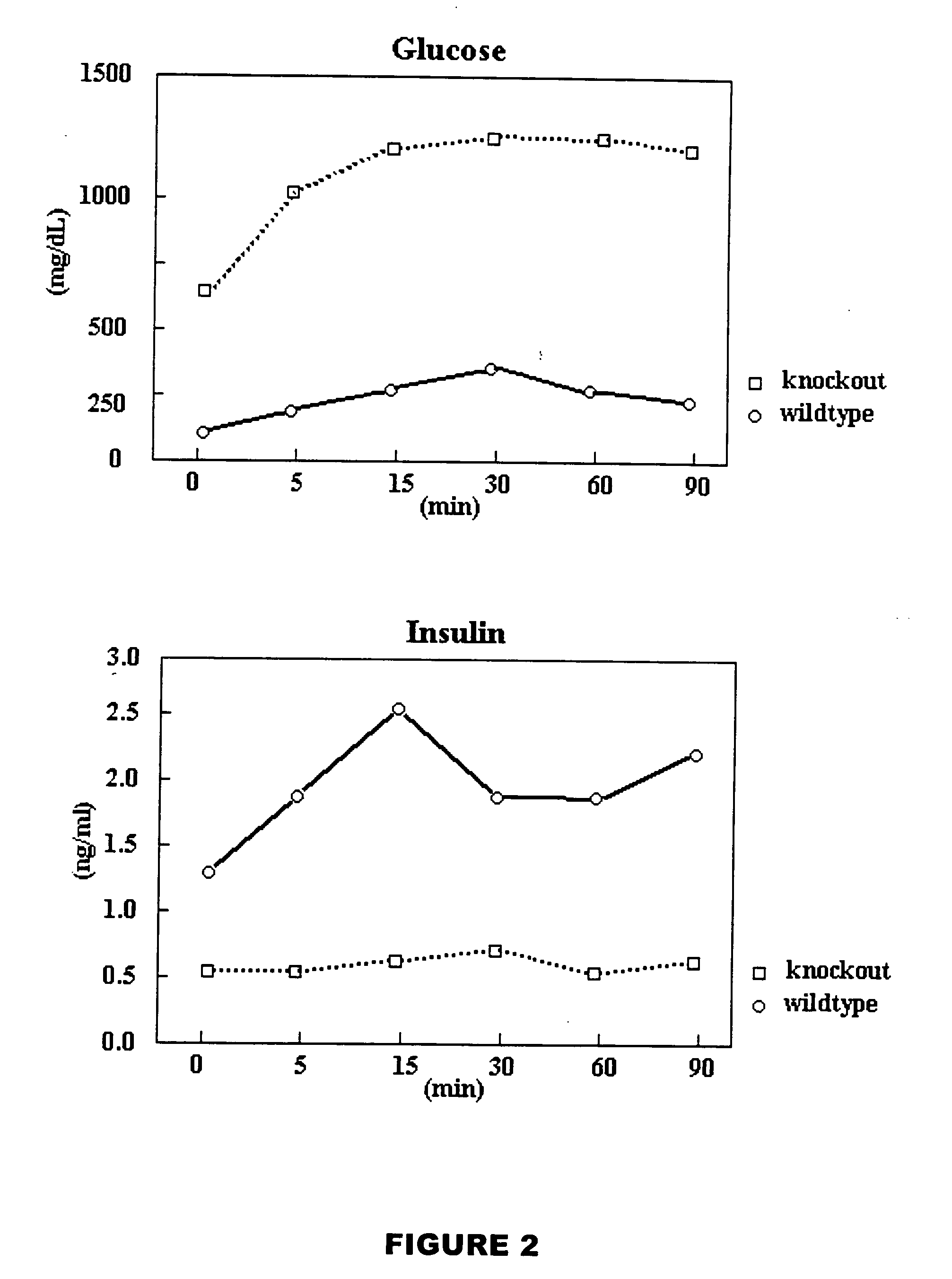 Somatic cells, germ cells and cell lines derived from a PTTG knockout rodent