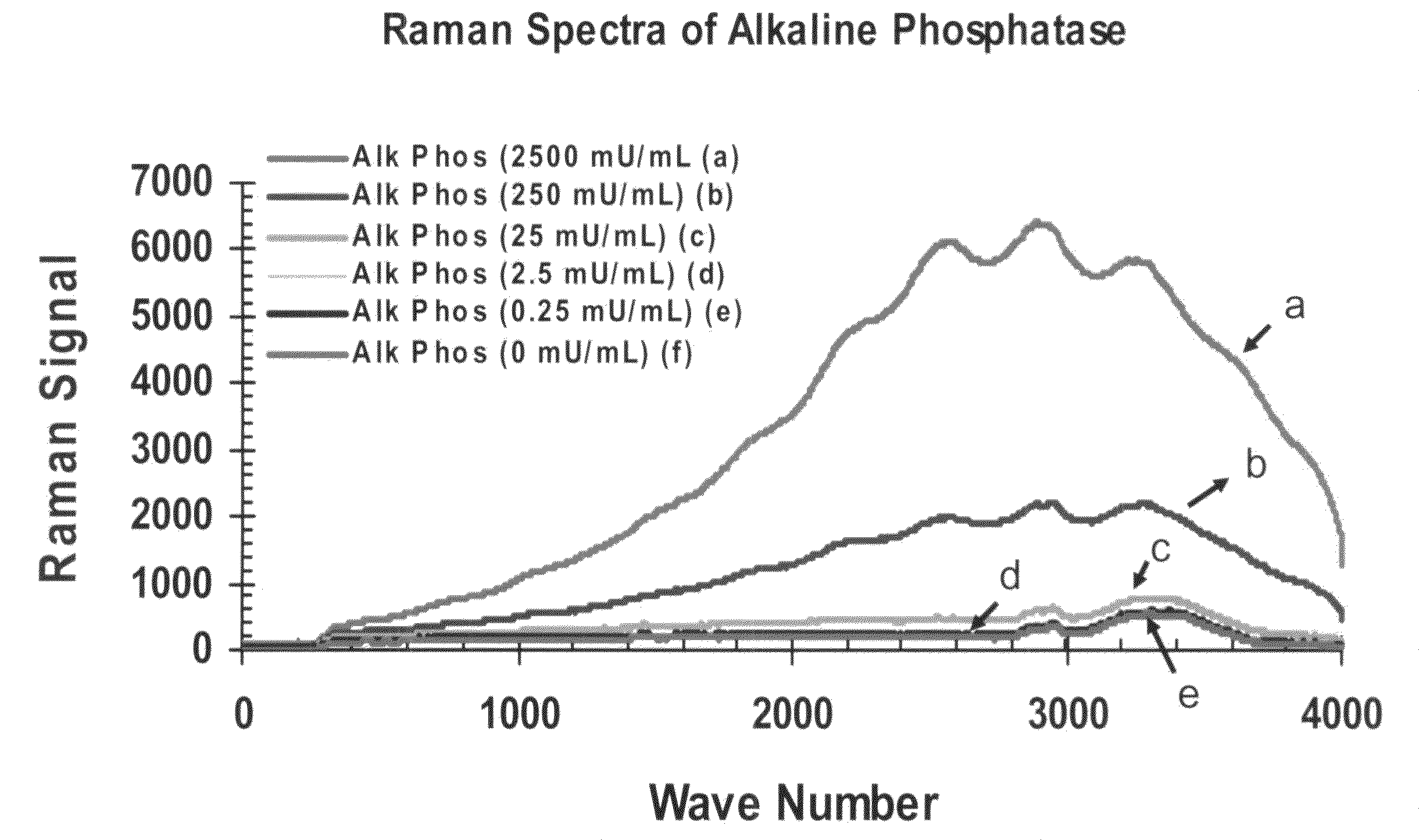 Methods for detecting organisms and enzymatic reactions using raman spectroscopy and aromatic compounds comprising phosphate