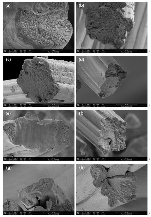 Holocellulose nano composite fiber and preparation method thereof