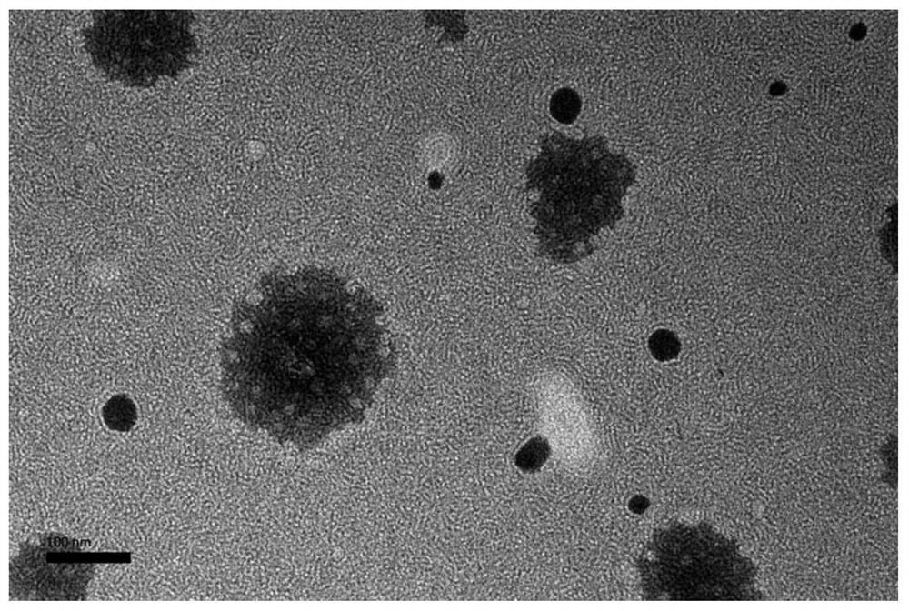 Ophthalmic preparation for preventing and treating dry maculopathy and retina light damage through eye drop administration