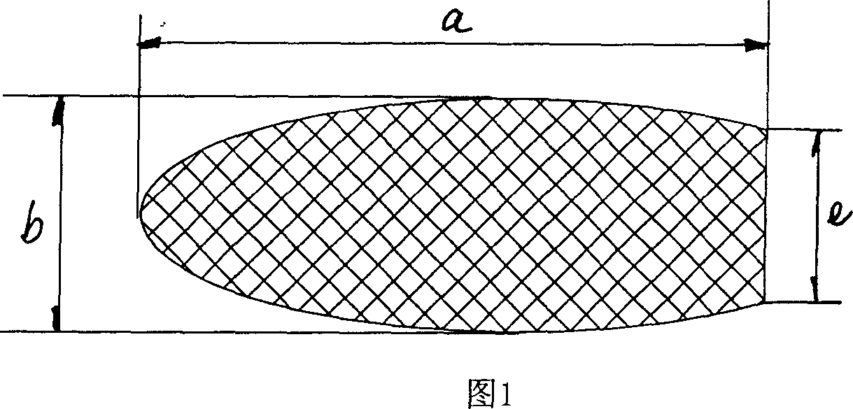 Bracket of vitreous body cavity for curing retina disease, and manufacturing method