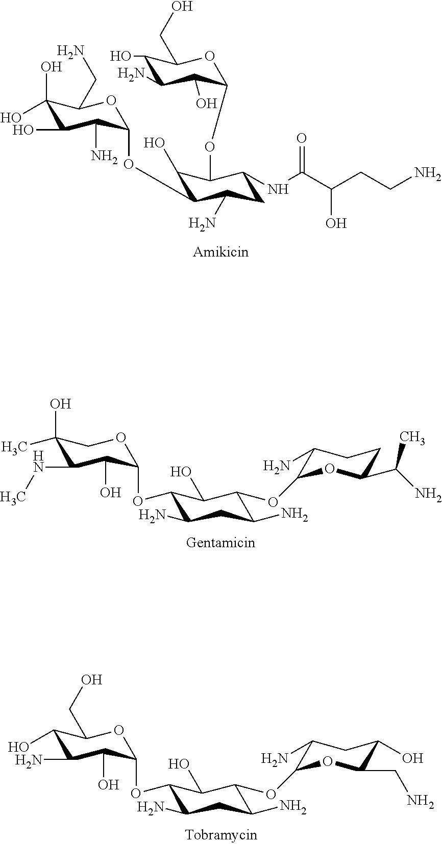 Nano-liposomal aminoglycoside-thymoquinone formulations