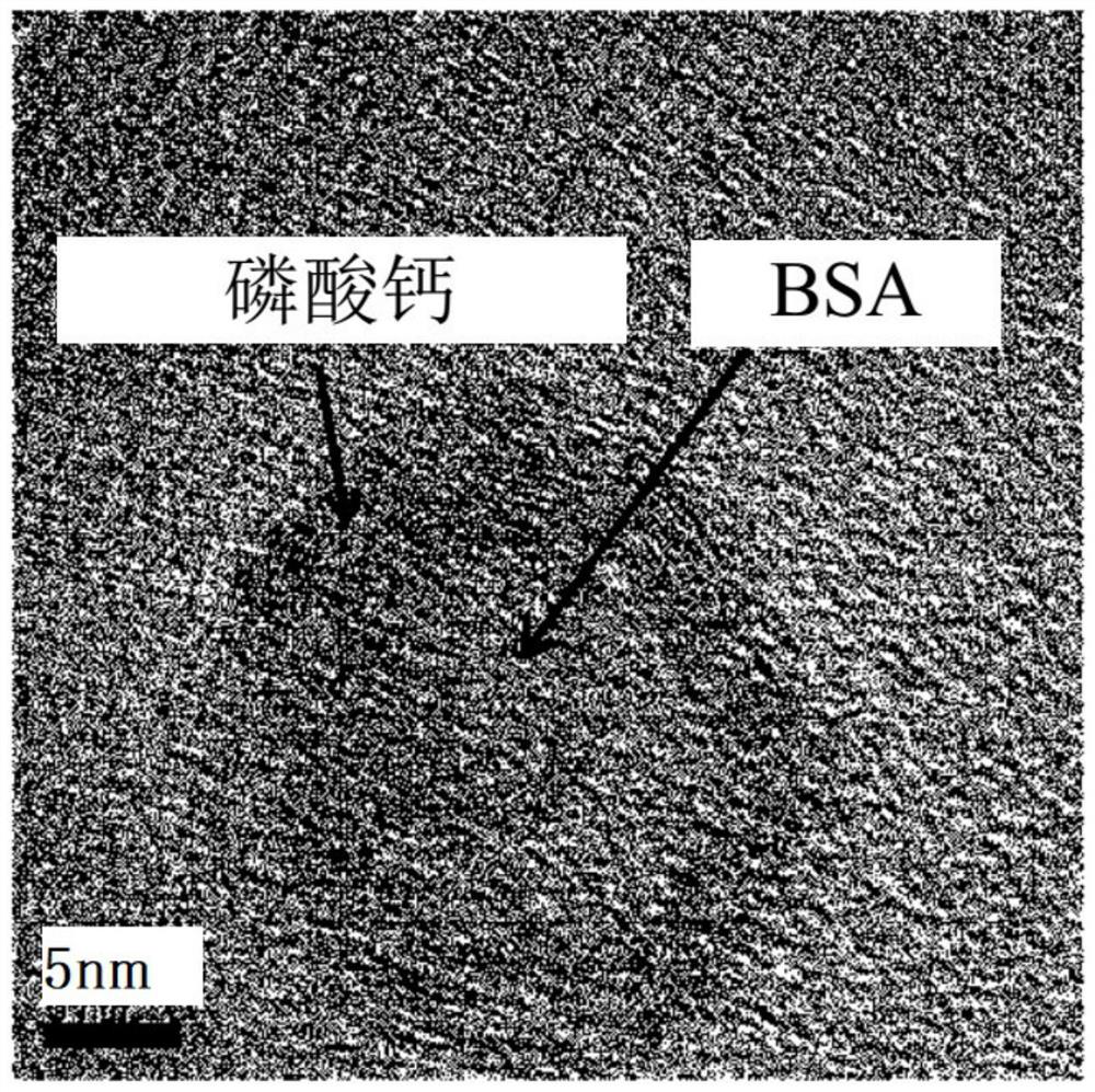 Composite with ceramic crystallized coating and method for its manufacture