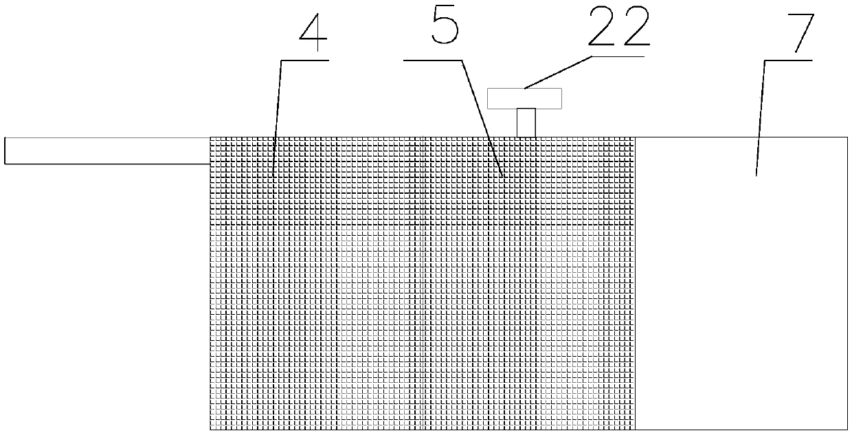 Automatic spraying and curing system and spraying method