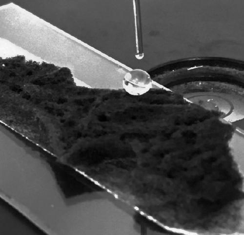 Preparation method of super-hydrophobic natural sponge