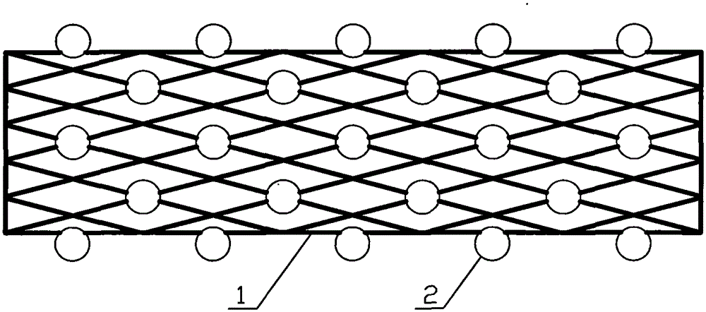 Intracavitary stent for medical chemotherapy