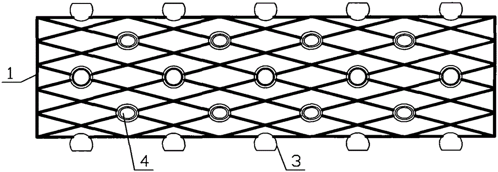 Intracavitary stent for medical chemotherapy