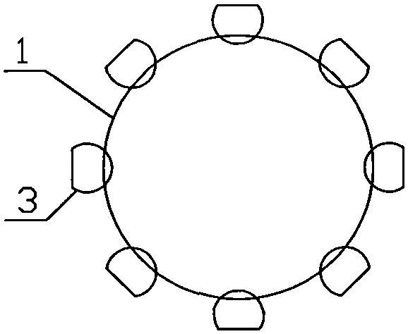 Intracavitary stent for medical chemotherapy