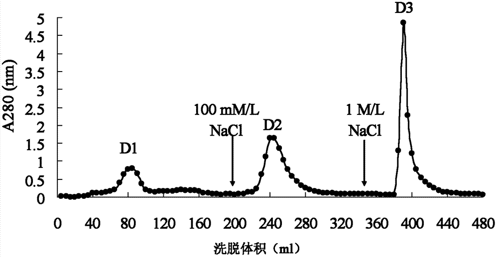 Cordyceps sobolifera protease capable of inhibiting human immunodeficiency virus-1 (HIV-1) reverse transcriptase and preparation method for Cordyceps sobolifera protease