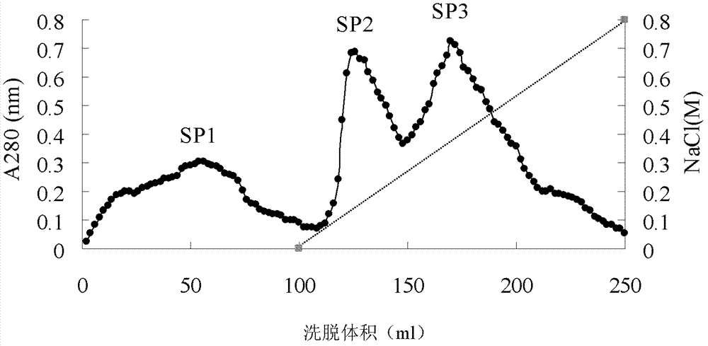 Cordyceps sobolifera protease capable of inhibiting human immunodeficiency virus-1 (HIV-1) reverse transcriptase and preparation method for Cordyceps sobolifera protease