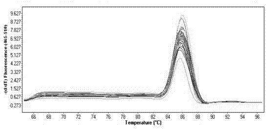 Application of interferon lambda1 in preparation of anti-enterovirus 71 medicines