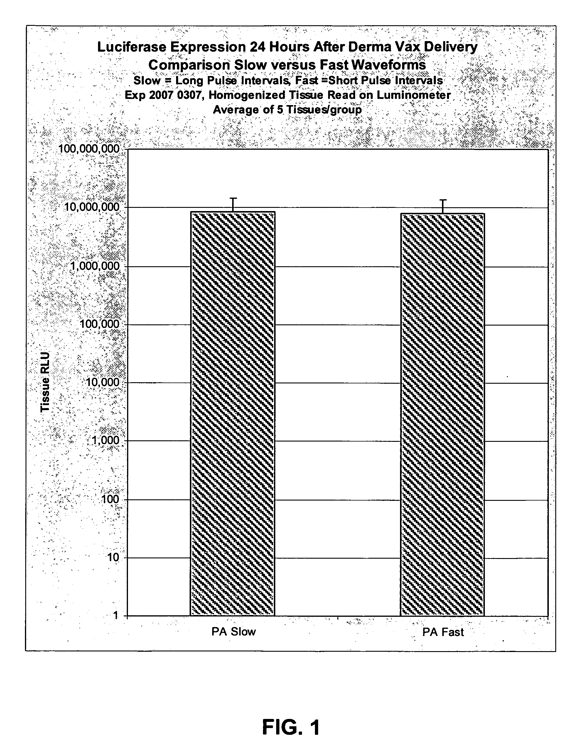 Method and apparatus for the delivery of plynucleotide vaccines to mammalia skin