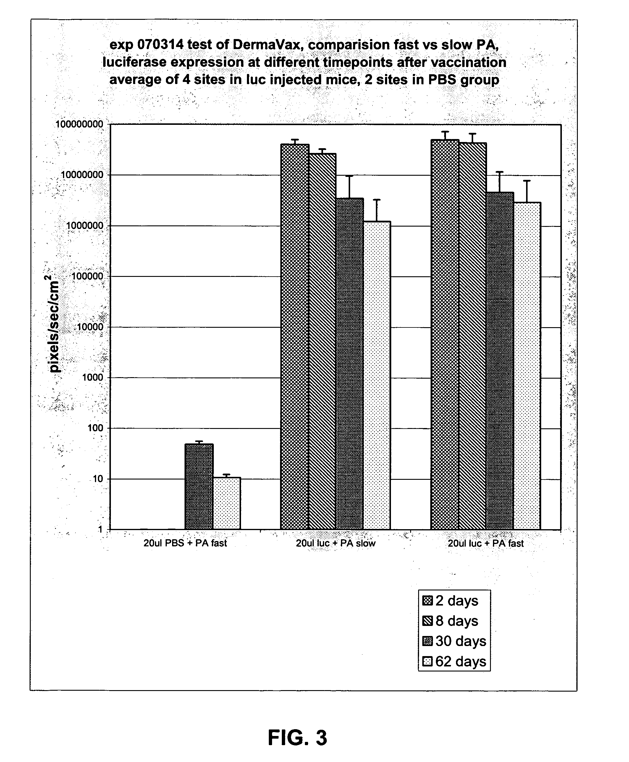 Method and apparatus for the delivery of plynucleotide vaccines to mammalia skin