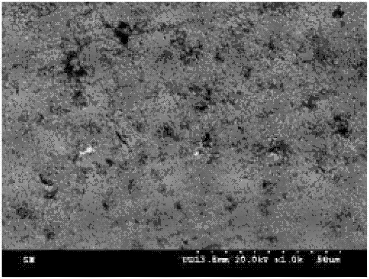 Surface coating method of iron-based metal rotating seal ring for dynamic seal of mechanical end face