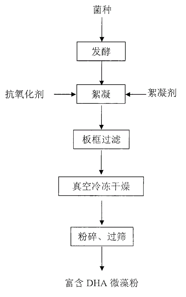 DHA (docosahexaenoic acid)-rich microalgae powder and preparation method thereof