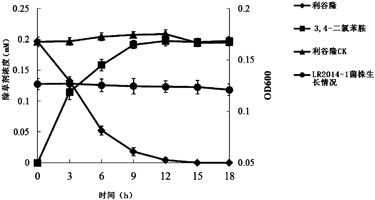 A kind of substituted urea herbicide residue degrading bacterial strain and its production