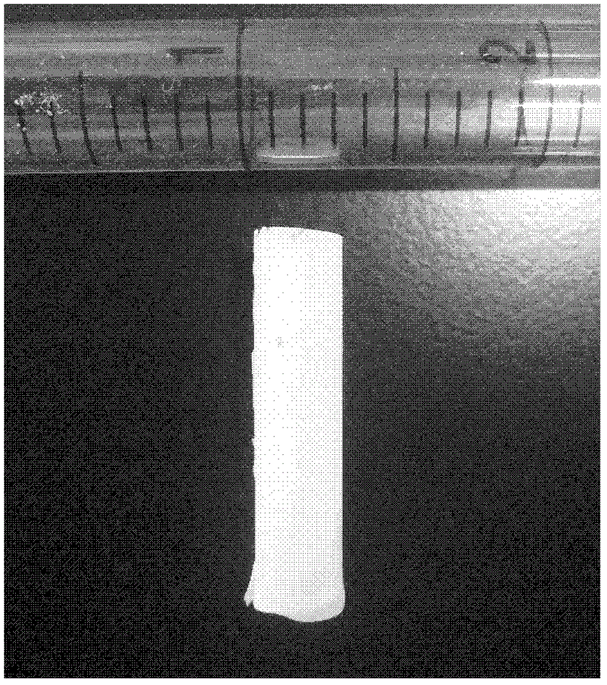 A biodegradable polymer porous urethral repair scaffold and its preparation method