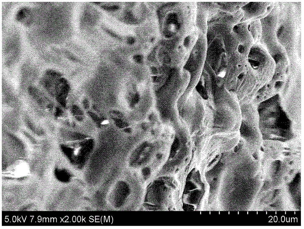 A biodegradable polymer porous urethral repair scaffold and its preparation method