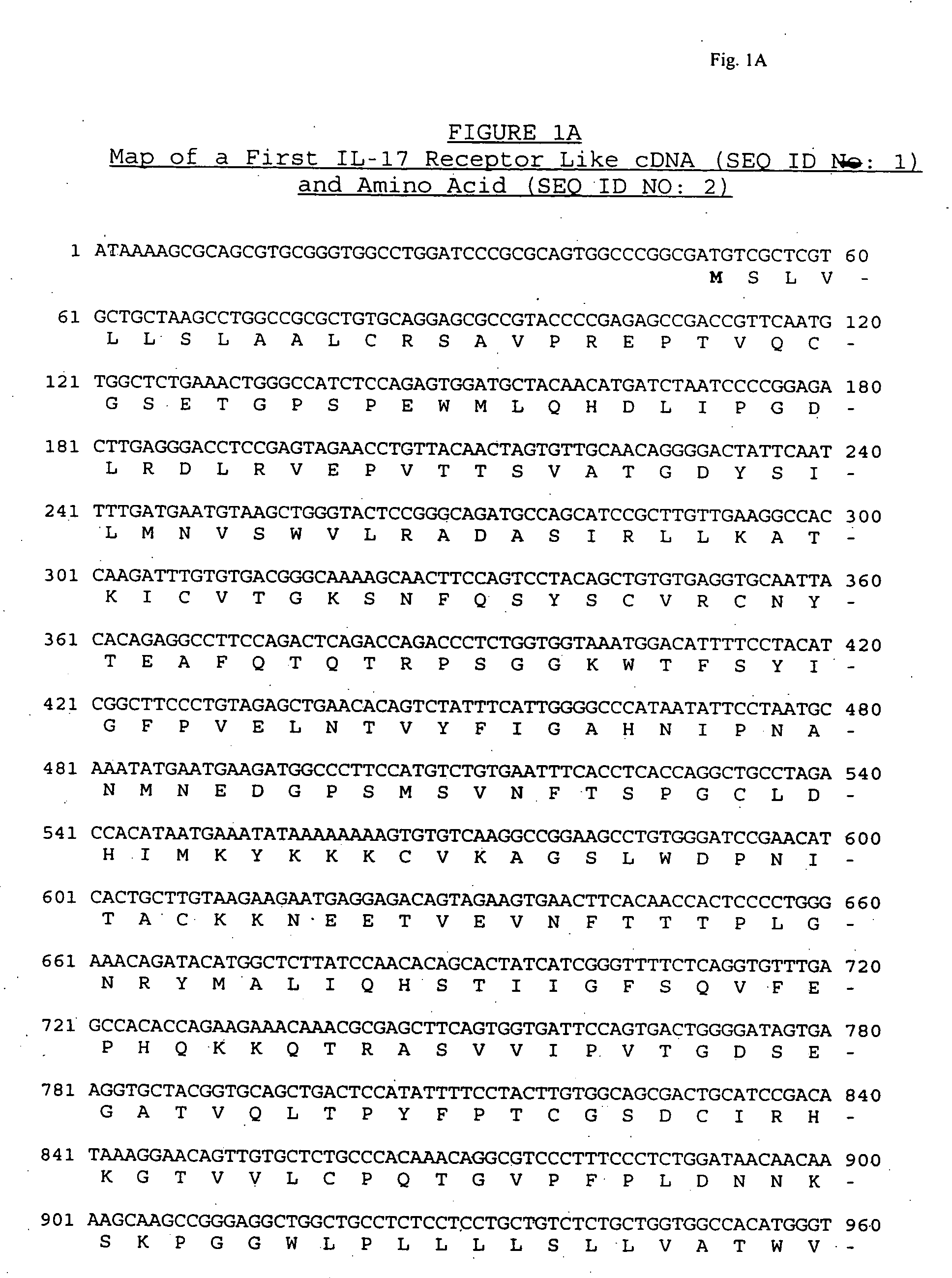 IL-receptor like molecules and uses thereof