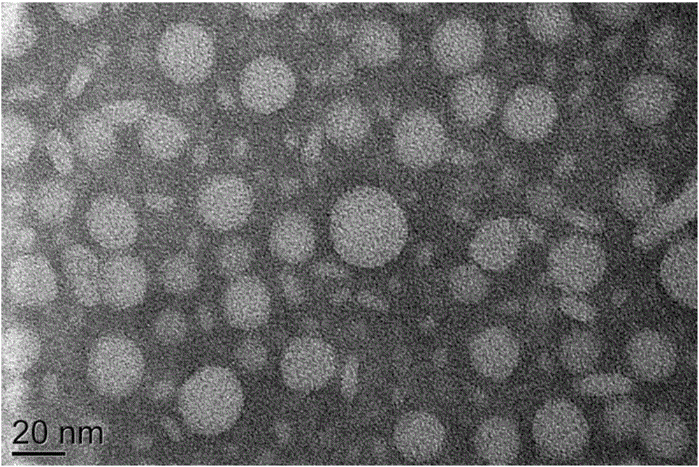 Timosaponin AIII nano liposome as well as preparation method and application thereof
