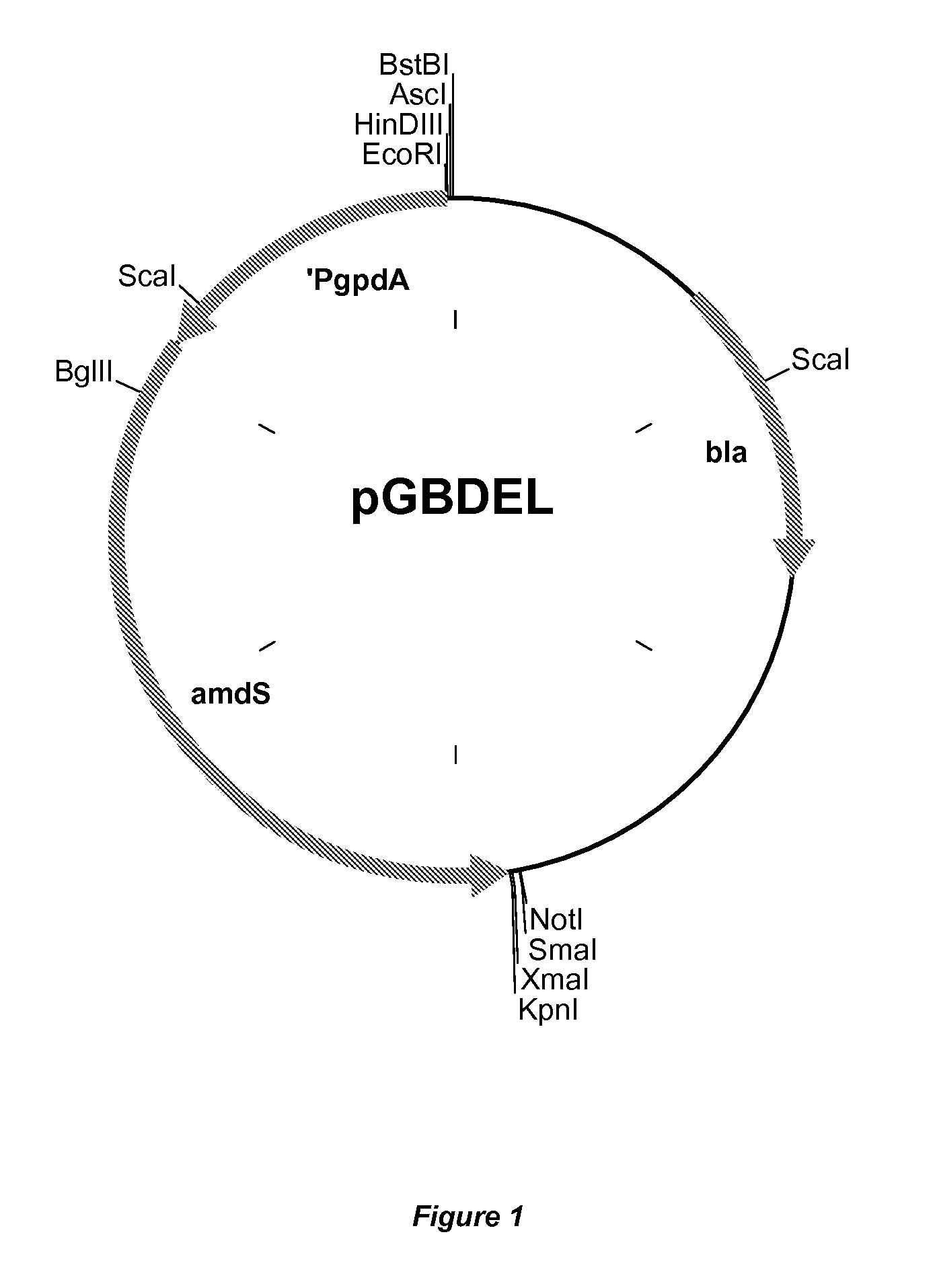 Method for the production of a compound of interest