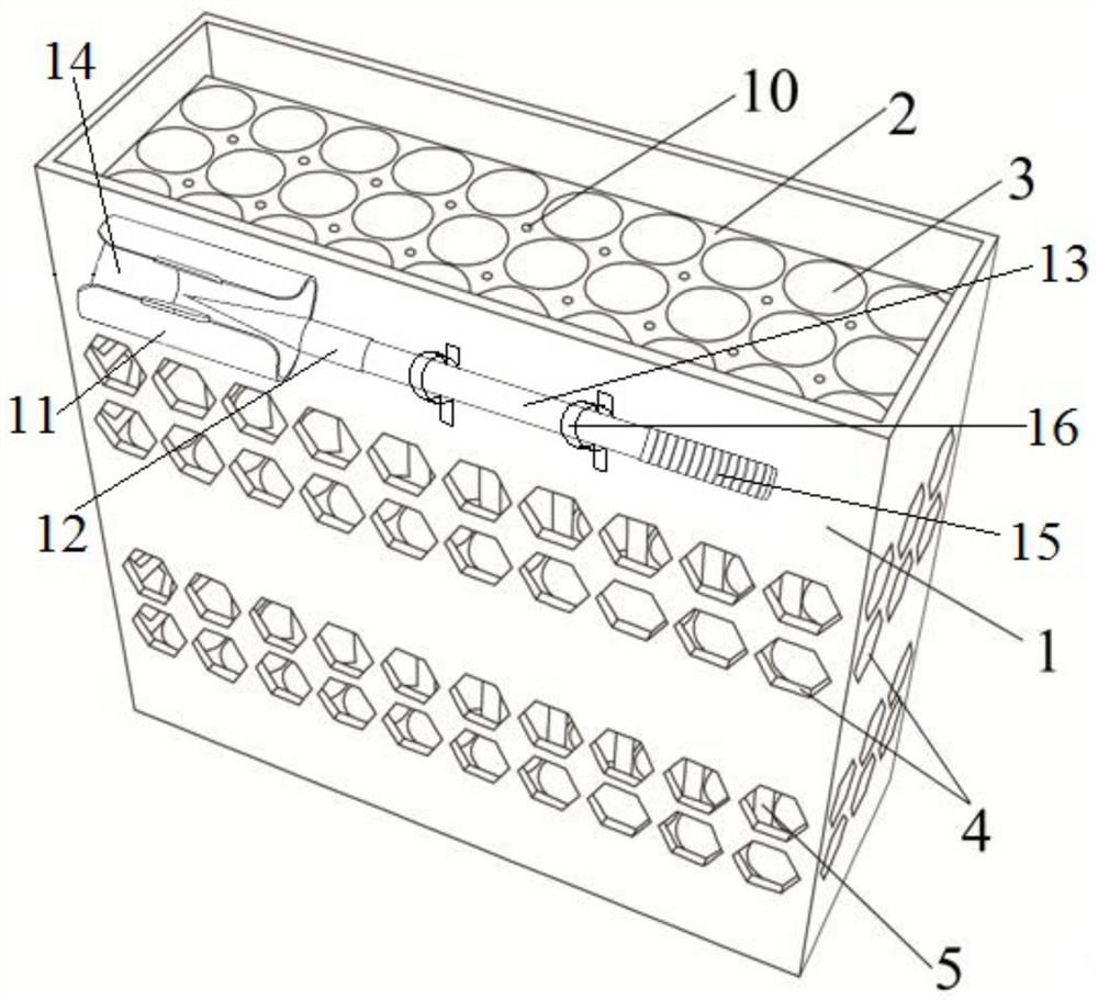 A special tool for upside-down planting and transportation of Camellia oleifera seedlings