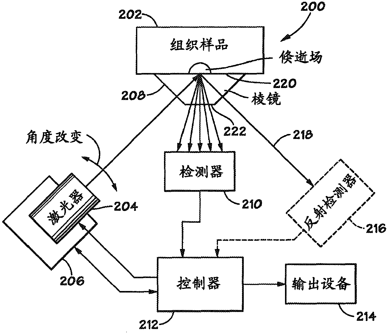 Method and apparatus for evaluating a sample through variable angle Raman spectroscopy