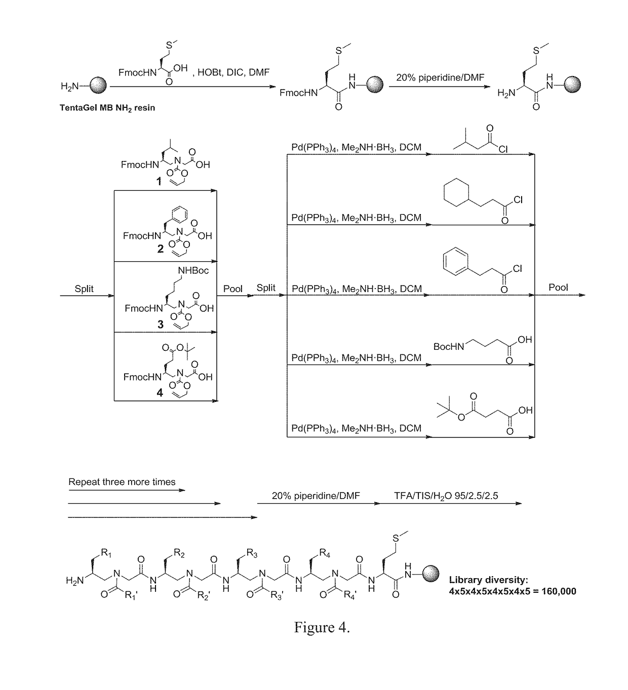 Gamma-AA-peptide STAT3/DNA inhibitors and methods of use