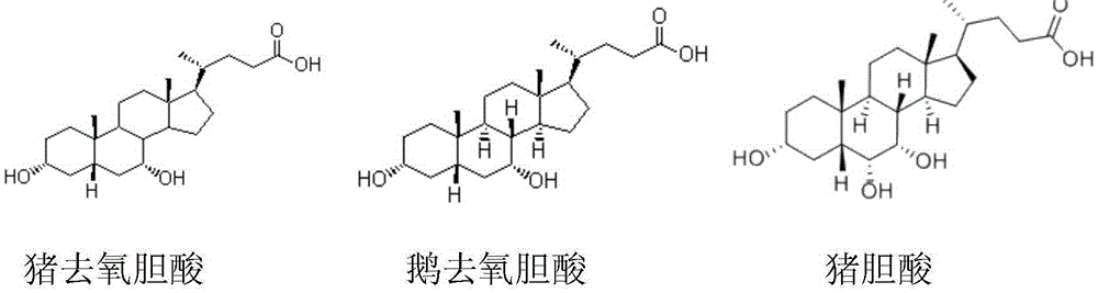 A kind of bile acid composition and preparation method thereof