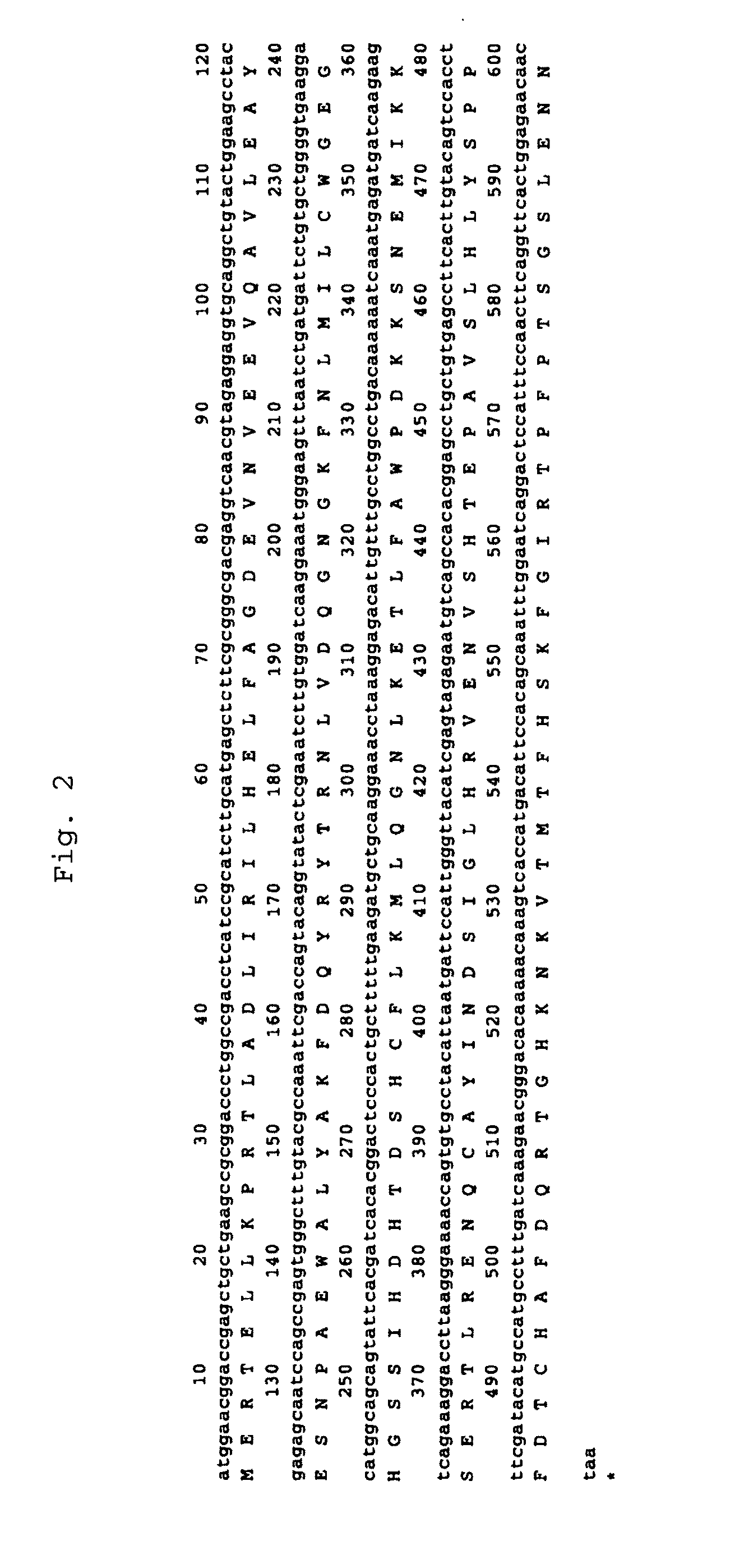 Method for production of polypeptide