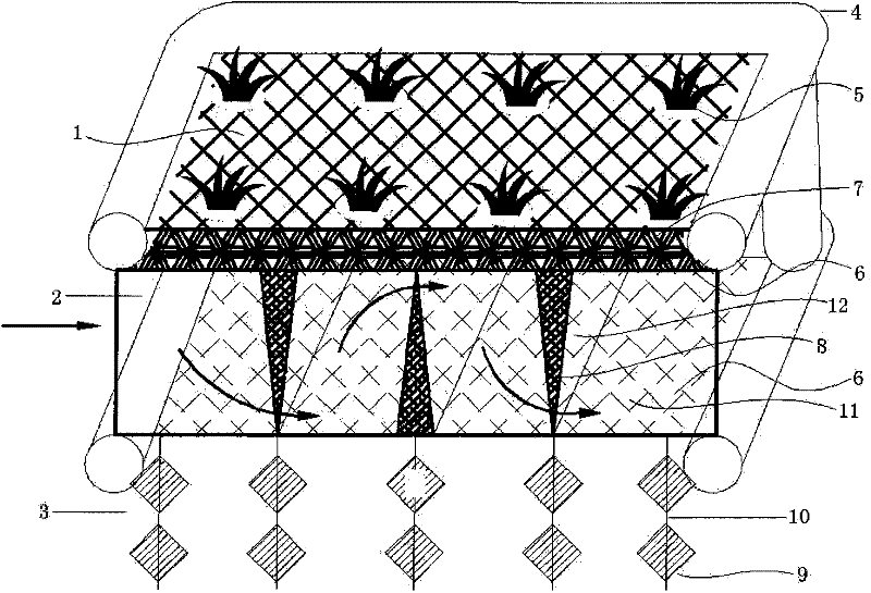 Automatic water oxygen-rich composite floating bed for strengthening biological carbon and phosphorous removal effect