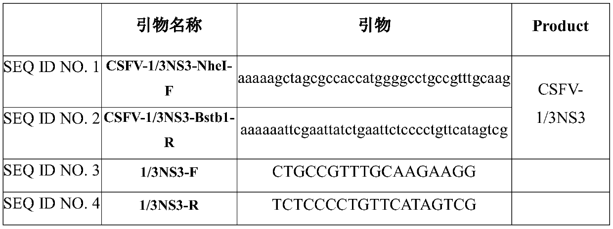 Monoclonal cell strain stably expressing serine protease, preparation method of monoclonal cell strain, kit containing monoclonal cell strain, and application of monoclonal cell strain