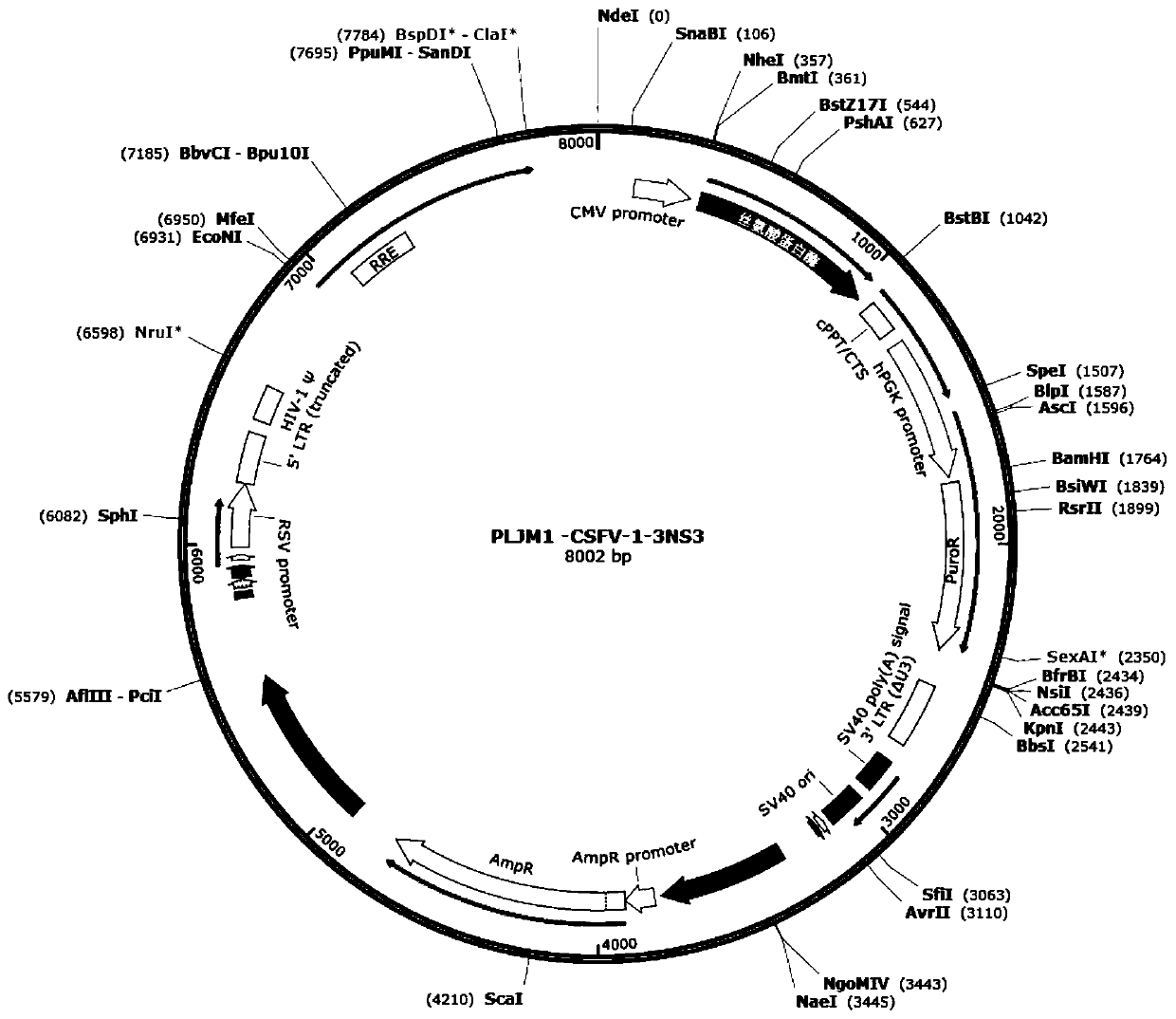 Monoclonal cell strain stably expressing serine protease, preparation method of monoclonal cell strain, kit containing monoclonal cell strain, and application of monoclonal cell strain