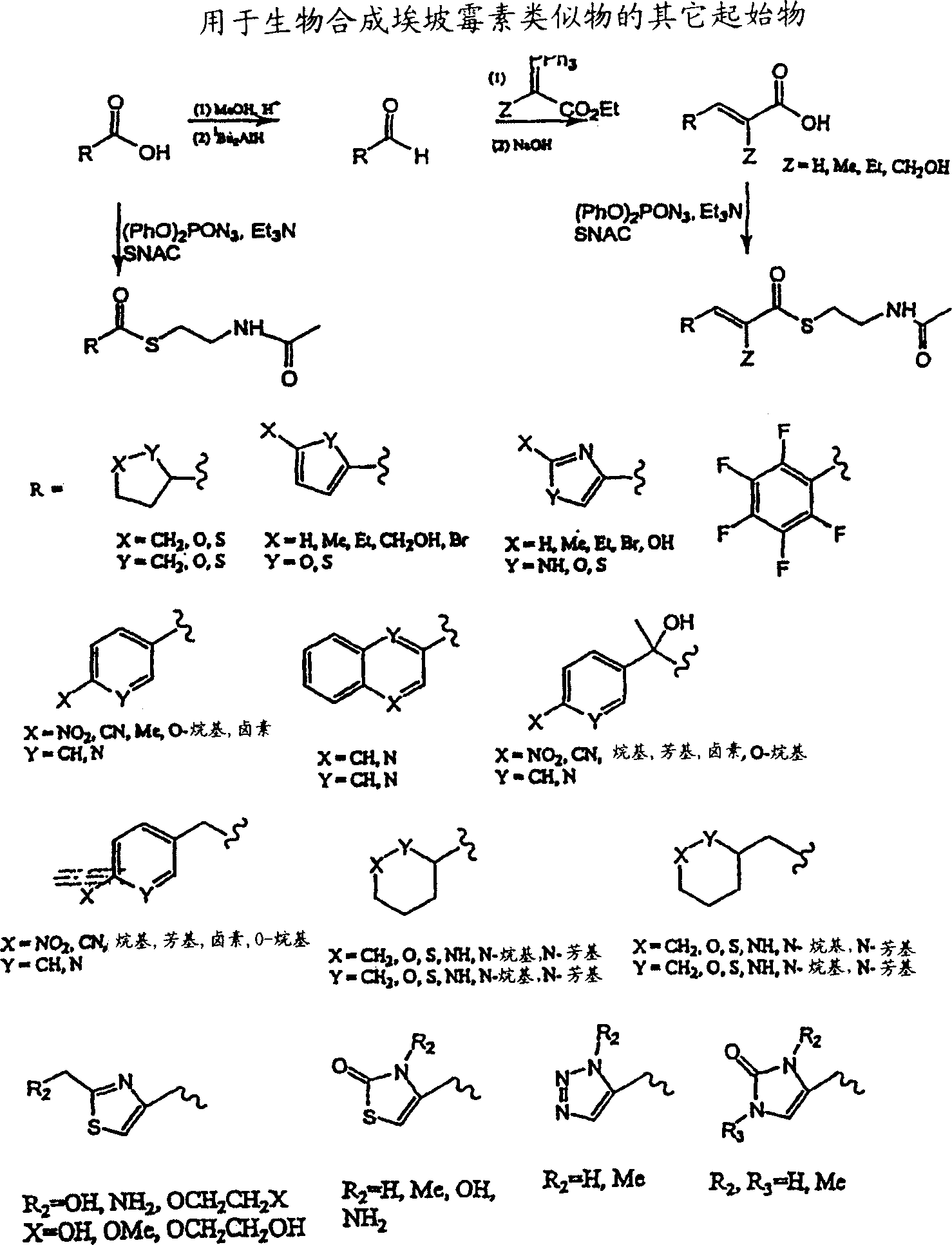 Production of polyketides