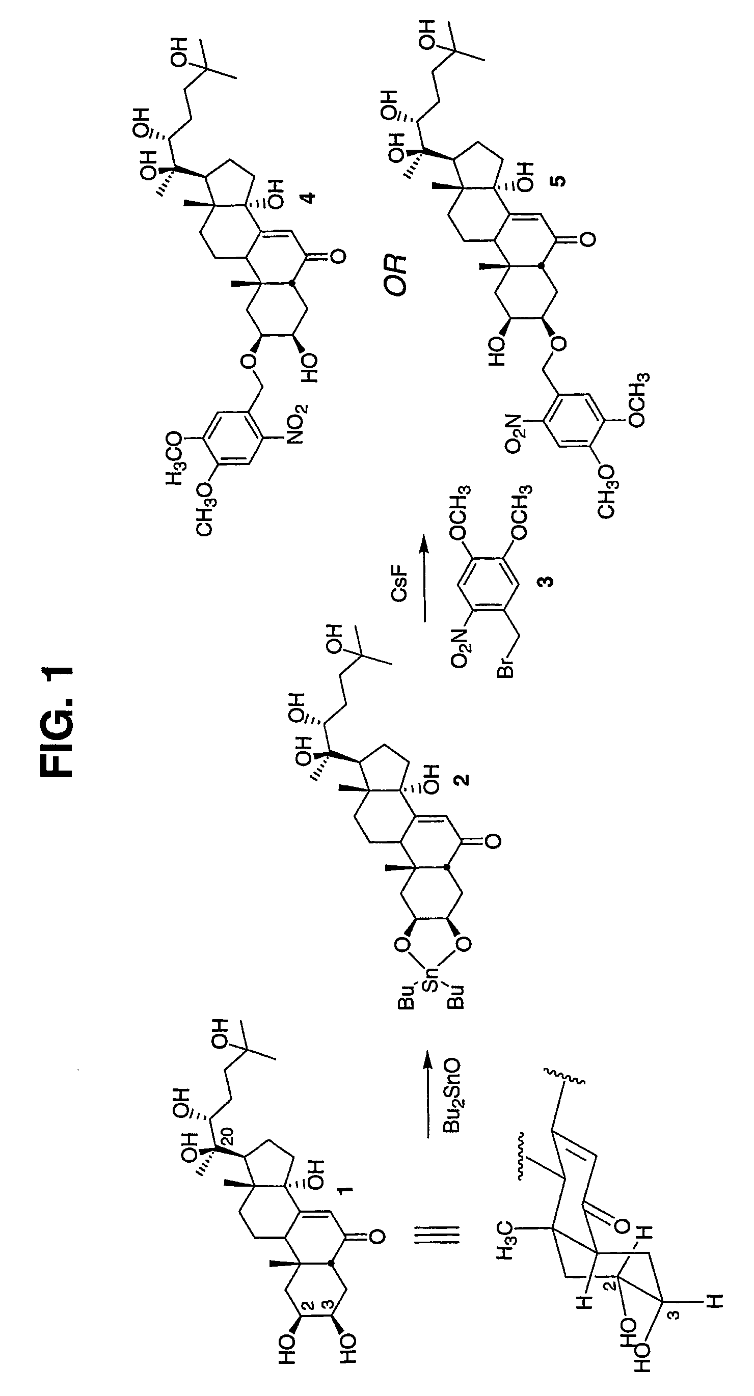 Caged ligands and uses thereof