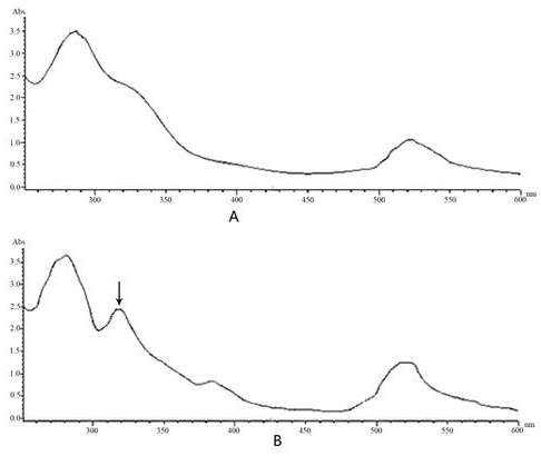 A method for improving the stability of carmine radish geranium