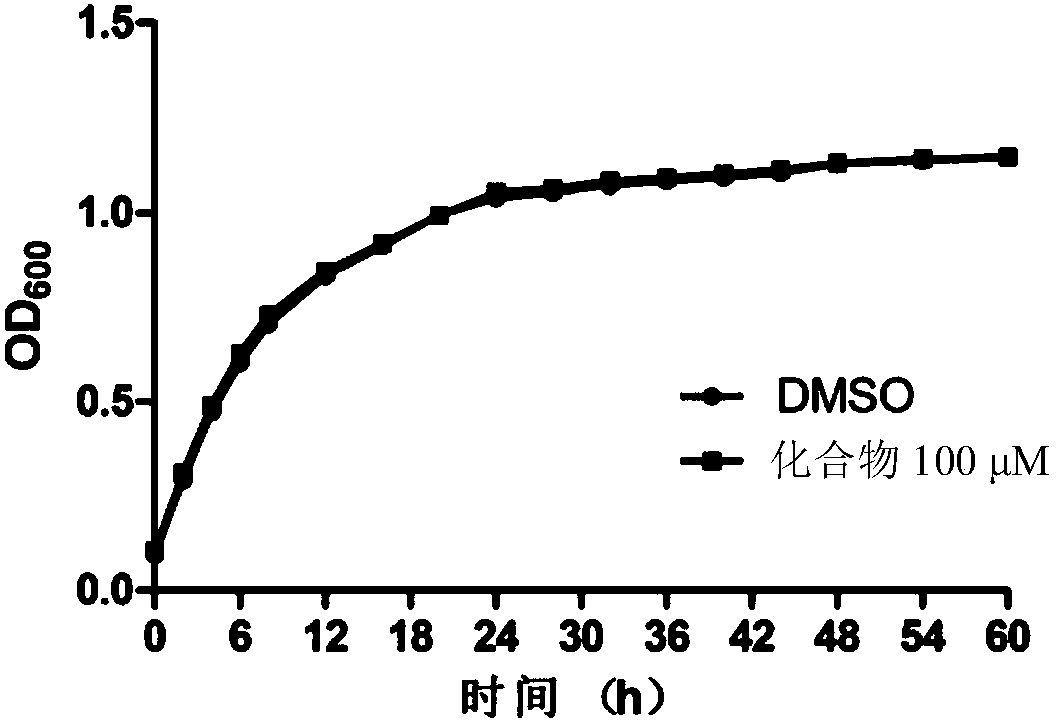 Application of Heterophyllin B to anti-candida-albicans drug preparing