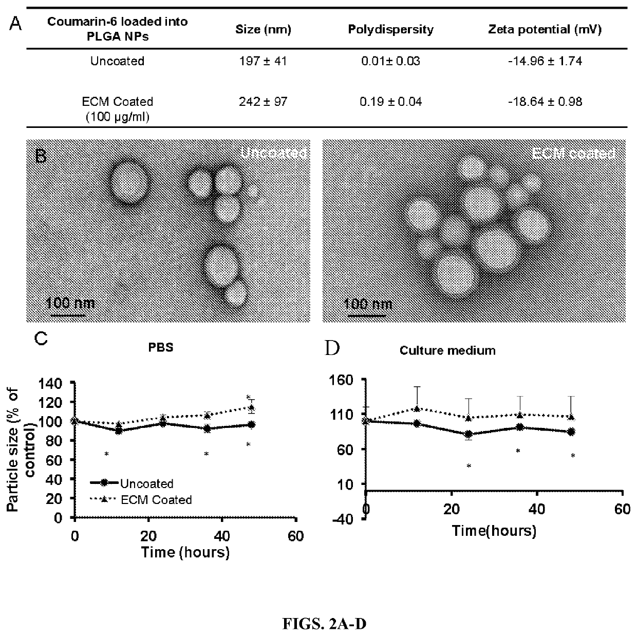 Nanoparticles containing extracellular matrix for drug delivery