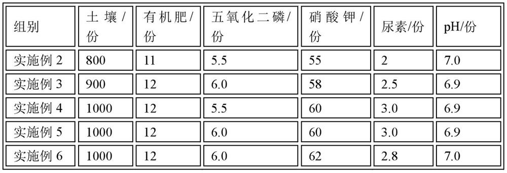 Cultivation method of tetraploid petunia hybrida