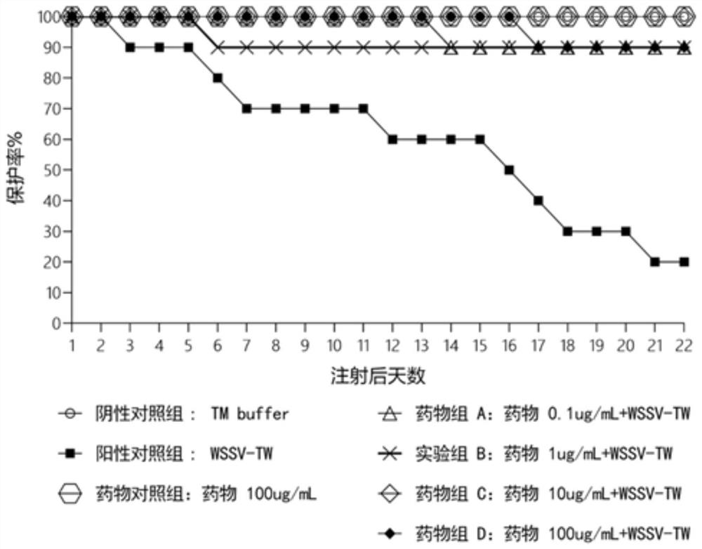 Application of Tripterygium triterpenic acid in preparation of medicine for preventing and treating leukoplakia syndrome virus
