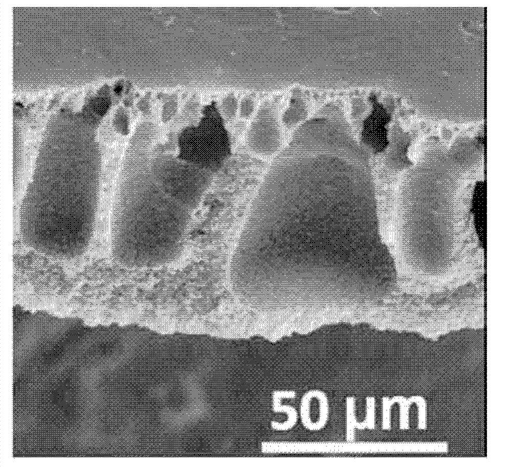 Method for preparing nano-material-doped polymer film