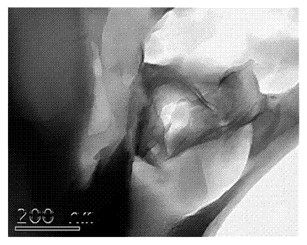 Method for preparing nano-material-doped polymer film