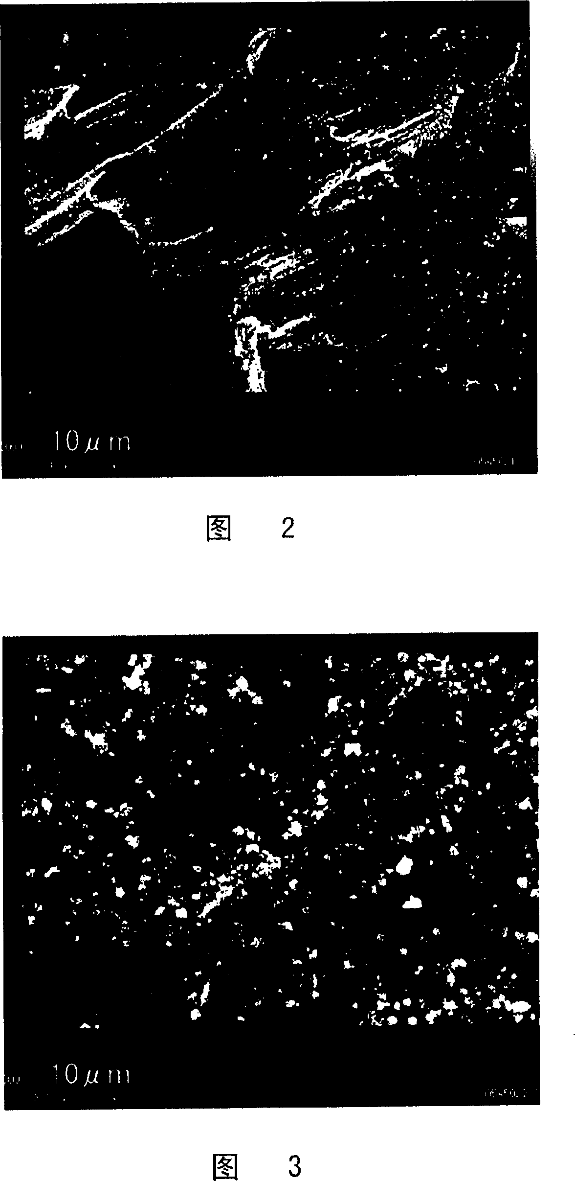 Electrolytic phosphating treatment method and warm or hot forging method