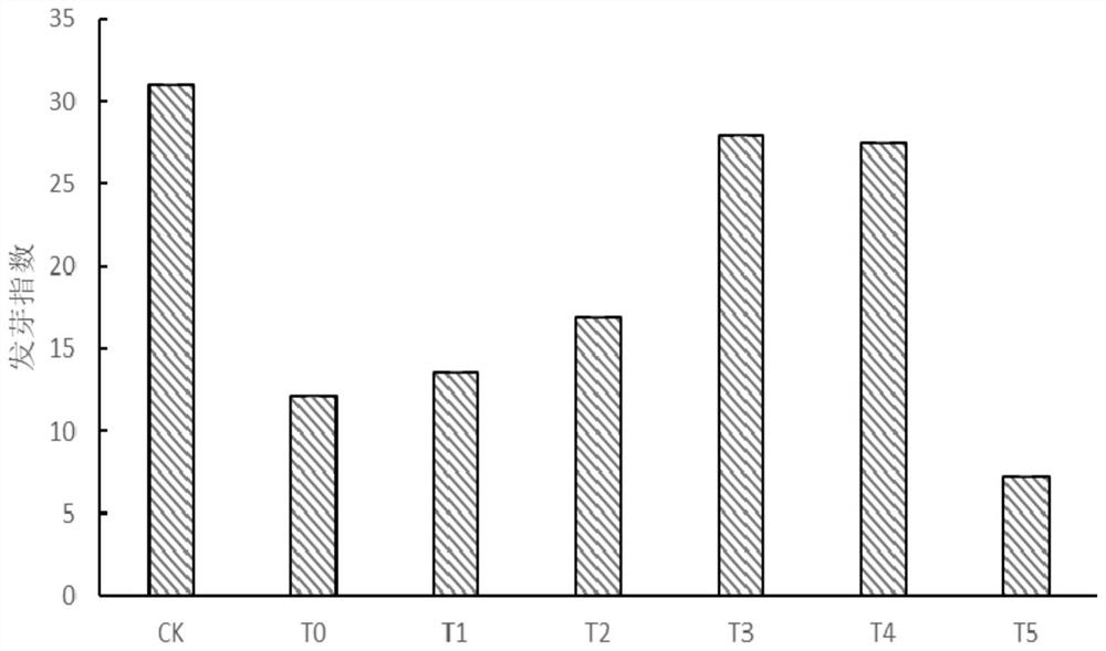 A method for improving tartary buckwheat seedling resistance to heavy metal lead stress