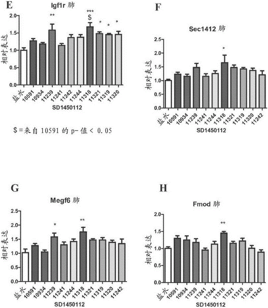 Locked nucleic acid inhibitor of miR-145 and uses thereof