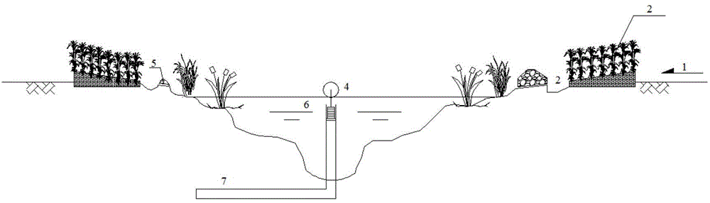 System and method for runoff in-situ processing in early days of urban rainfall