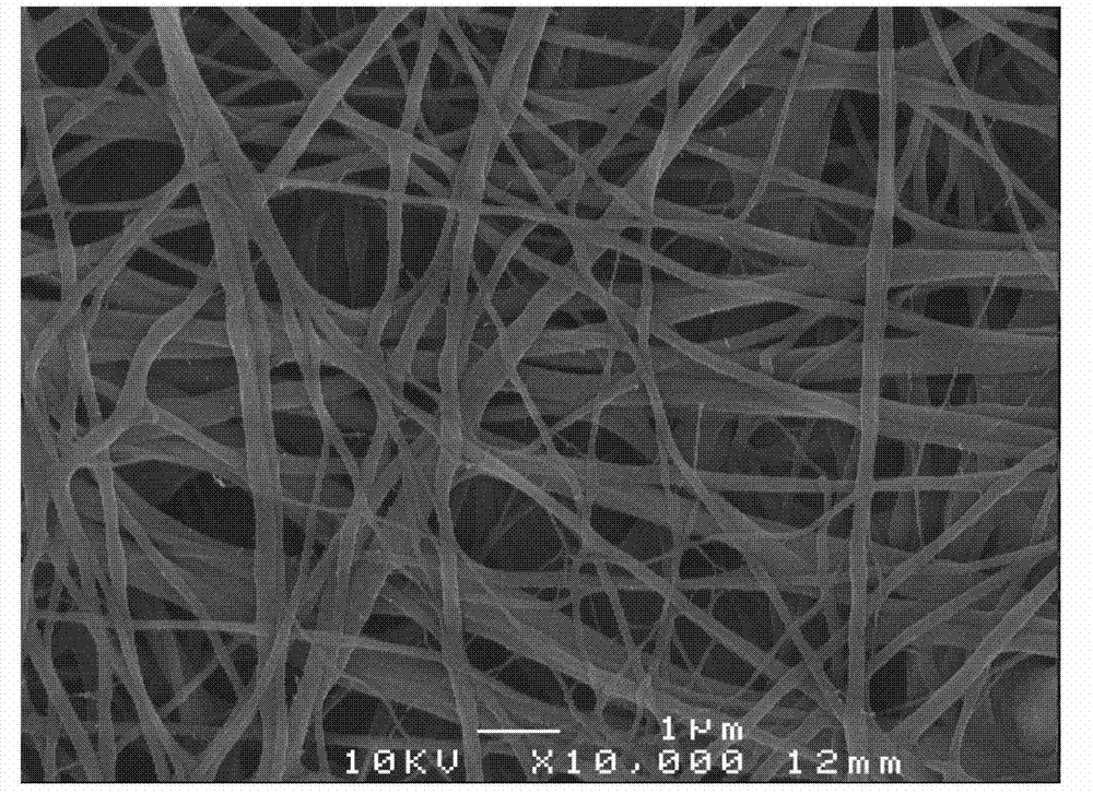 Method for preparing chitin nano filaments